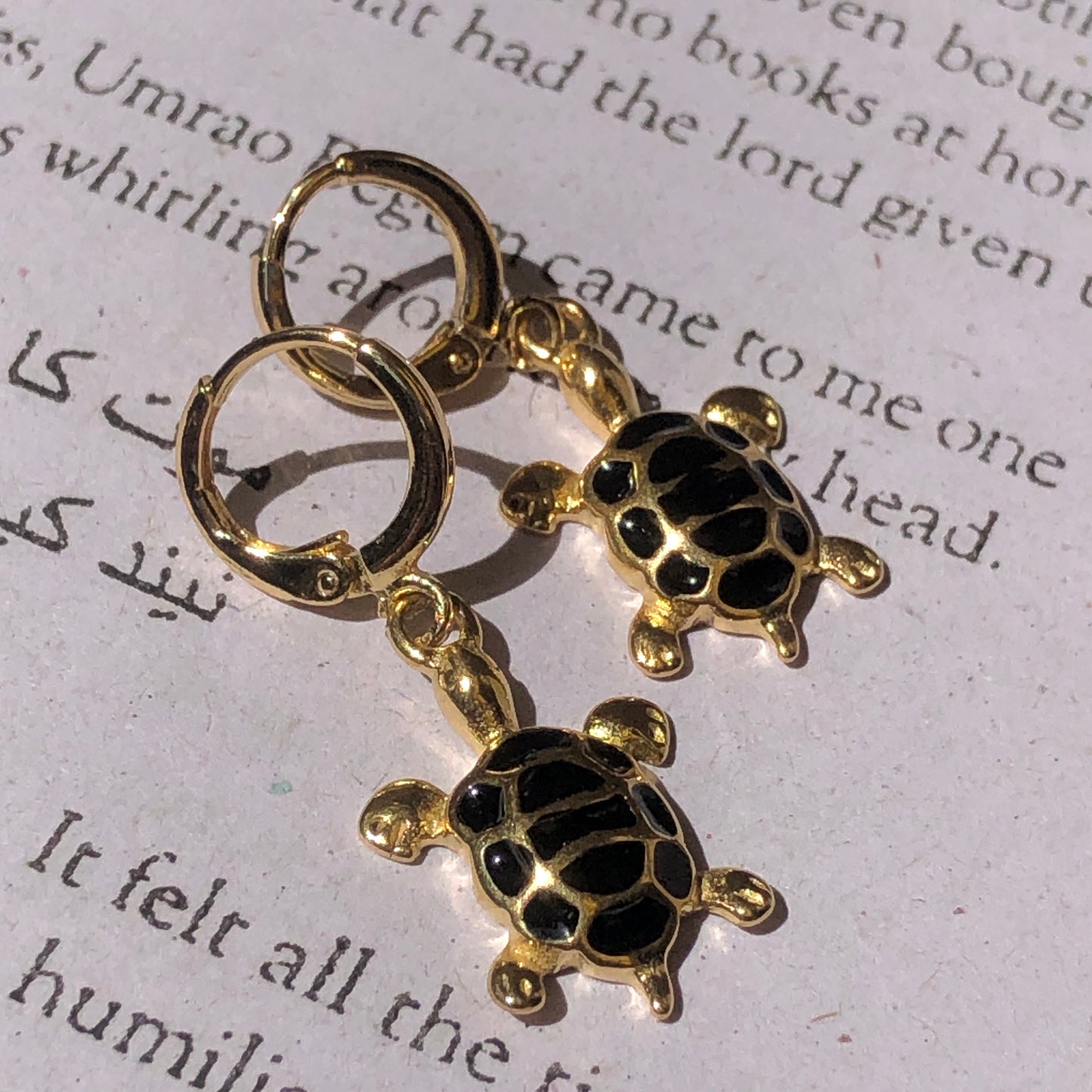 Turtle Huggies (Stainless Steel)